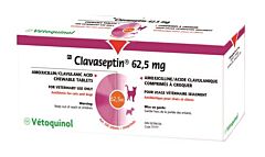Clavaseptin 62,5mg 100 tabletten