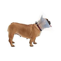 Hondenkraag Buster E-Collar Kortsnuitig M per 10 stuk