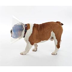 Hondenkraag Buster E-Collar Kortsnuitig L per 10 stuks