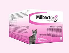 Milbactor Kitten 4mg / 10 mg 48 tabletten UITVERKOPEND