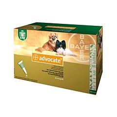 Advocate kleine honden ≤ 4 kg 21 pipet