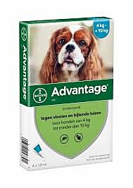 Advantage 100 dog > 4 - 10 kg 4 pipet