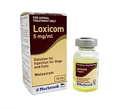 Loxicom 5 mg/ml injectie 20 ml