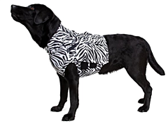 Medical Pet Shirt TOP - XS Zebraprint