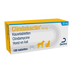 Clindabactin 55 mg 10 x 10 st
