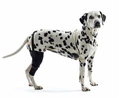 Kruuse Rehab Knee Protector RIGHT size M