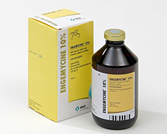 Engemycine 10% inj. 250 ml