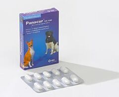 Panacur KH 500 mg 1 x 10 tabletten