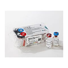 Nobivac Bb voor katten 5 x 1 doses