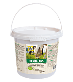 VITALstyle OerBalans poeder emmer 4 kg