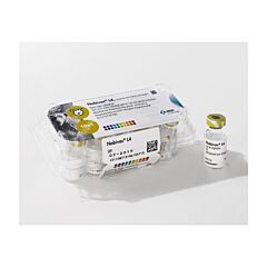 Nobivac L4 Lepto 4 10 x 1 doses