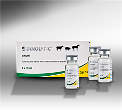 Dinolytic 5 x 10 ml (5 mg/ml)