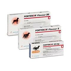 Fortekor Flavour 5 2 x 14 tabletten