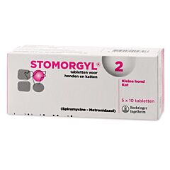 Stomorgyl- 2 5 x 10 tabletten