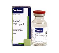 Cyclix Bovine 20 ml