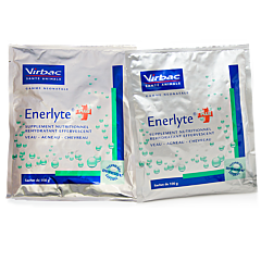 Enerlyte Plus 24 x 100 gram