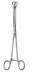 Grote (darmvat) tang 20cm