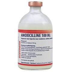 Amoxicilline 100 injectie 100 ml