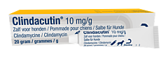 Clindacutin zalf 20 gram