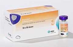Porcilis Lawsonia 10x50ds