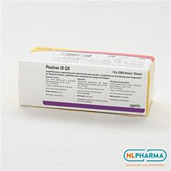 Poulvac IB QX 10 x 2000 doses.