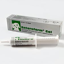 Enteroferm gel 20ml