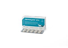 Dermazyme Zinc 50 tabletten