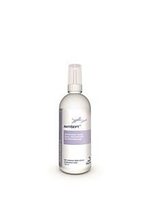AntiSept desinfectiespray 100 ml