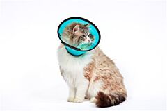 Kraag Smart Collar maat 1 (nekmaat 18 - 24cm) per 5 stuks