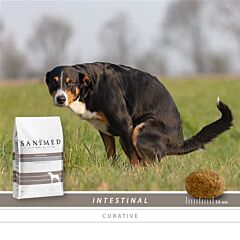 Sanimed Dog Intestinal sample 10 x 125 gram
