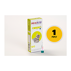 Bravecto Spot On Kleine Kat 1,2-2,8kg 1pip.