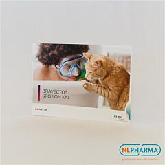 Consumentenfolder Bravecto spot on kat per stuk