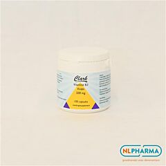 Vitamine B3 nicotinamide 500 mg 100 caps