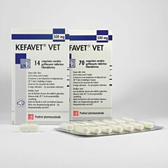 Kefavet vet 500mg 14 tabletten