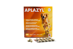 Aplazyl 300 tabletten