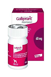 Galliprant 60 mg 30 tabletten