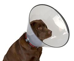 BUSTER Comfort Collars, 7 assorted sizes from 7.5 to 30 cm