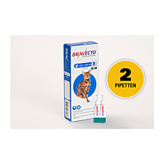 Bravecto Spot on kat 2,8- 6,25kg 2 pip.
