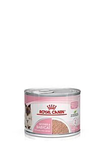 RC Mother & Babycat Mousse 12 x 195 gr