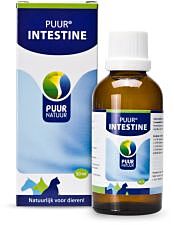 PUUR Darm / Intestine 50ml