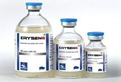 Eryseng 50 doses (HIPRA)