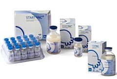 StartVac les mastitis post-partum 20 x 1 doses.