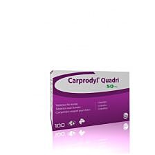 Carprodyl Quadri 50mg 100 tabletten WEEK 47