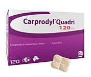 Carprodyl Quadri 120mg 120 tabletten WEEK 51