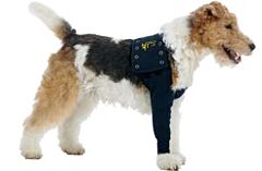 Medical Pet Shirt TAZ Front Leg Sleeve: 2XS