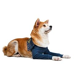 Medical Pet Shirt TAZ2 Double Front Leg Sleeve: L