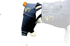 Medical Pet Shirt HLS Hind Leg Sleeve: M