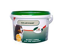PrimeVal Gelatinaat Hond 2kg