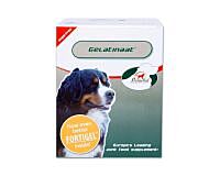 PrimeVal Gelatinaat Hond 500 gram