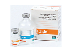 Ecthybel 25 doses Cascade-product